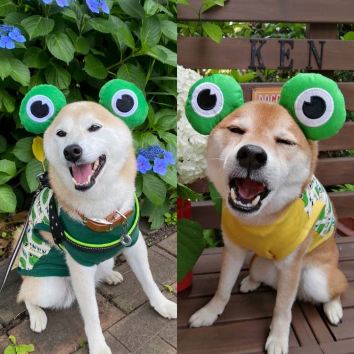 1cb1fa0c 8db7 4f06 b086 94da4a58e85c 1655690255369