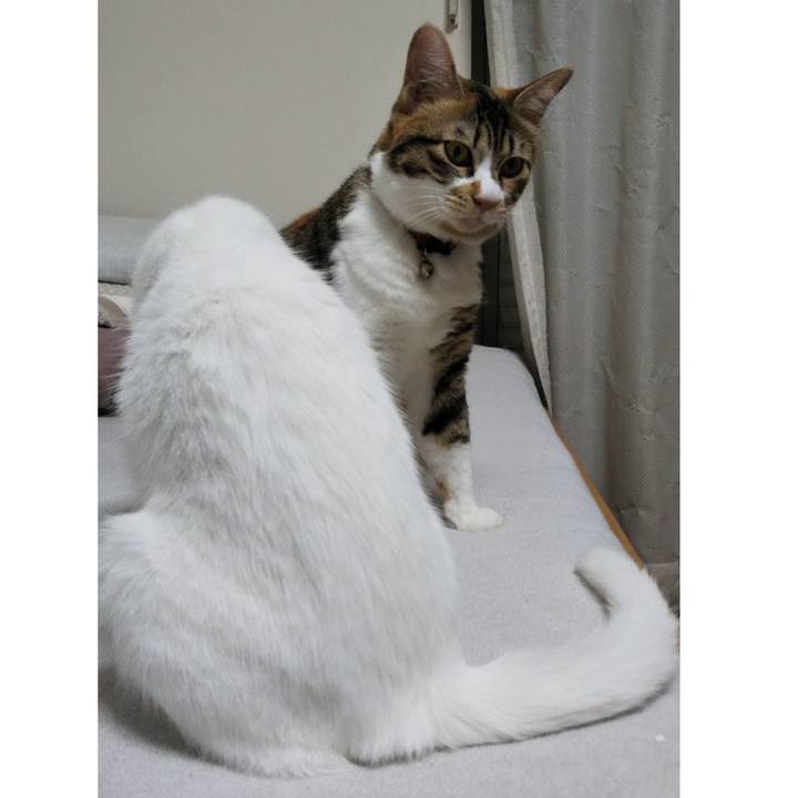 1cb217e4 22d1 457b 9859 884157e9d7c8 1654644212443