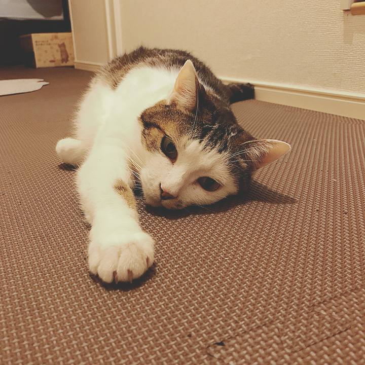 1cb24663 028a 42b0 82a8 5a8f212a41d7 1507861310076