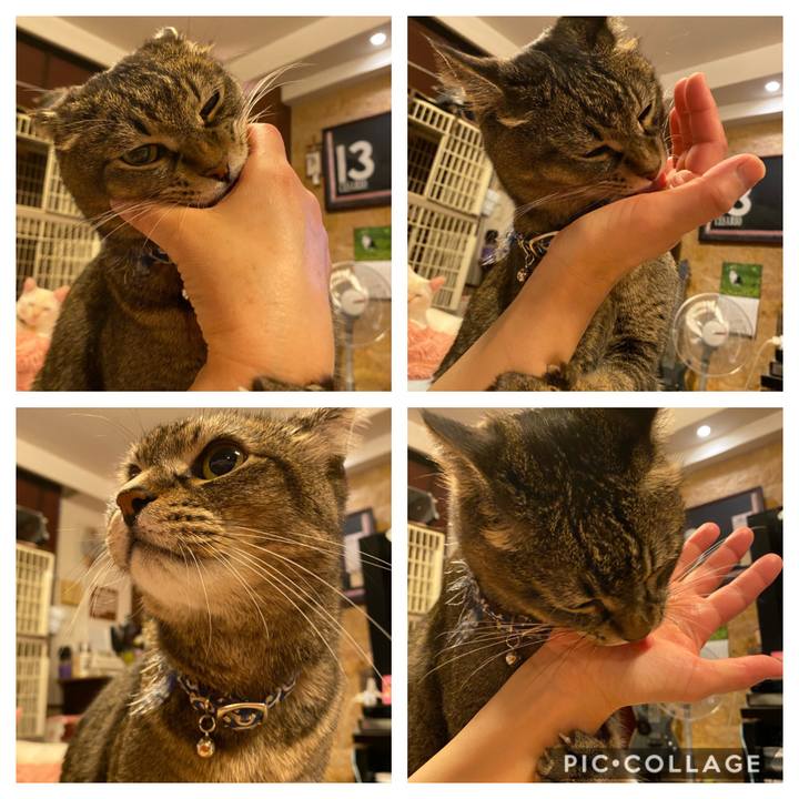 1cb26215 e119 4ff9 a30a 9d9241b9b037 1601500912075