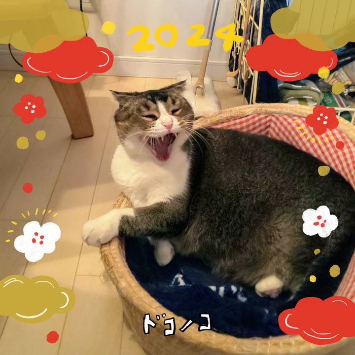 1cb29ad4 0adb 49bf a762 7ada1e6f1496 1704583568531