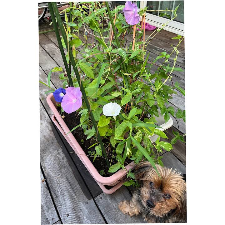 1cb2b7a9 95bb 4bb3 a500 a625fabbed07 1724194048930