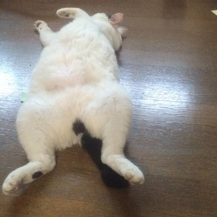 1cb2ba28 0361 4245 b287 e90289df1c87 1529898088966