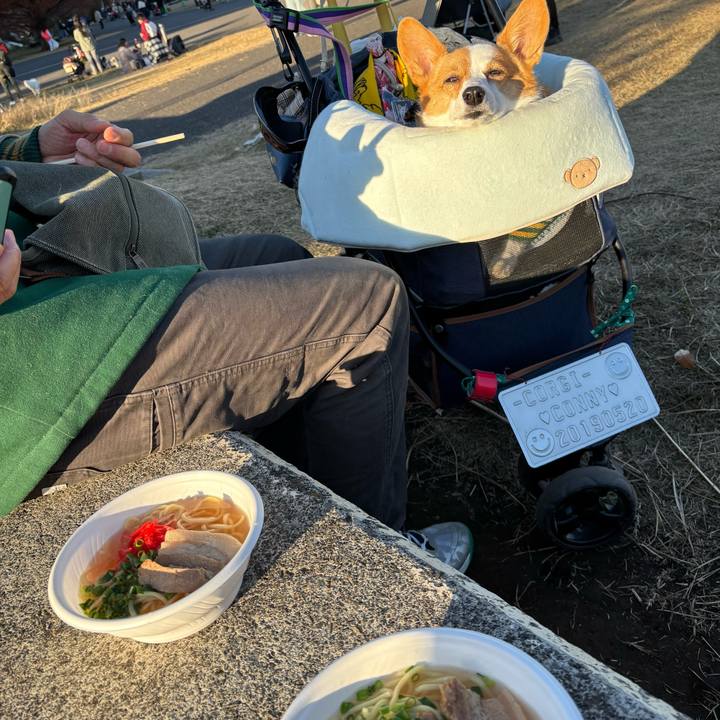 1cb2f614 52a0 4161 bc9d aa169a869deb 1765092567888