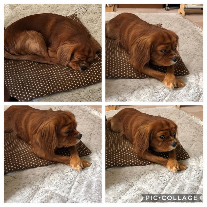 1cb321fd 46a6 4cd8 afa3 cfeff71e68db 1572137143023