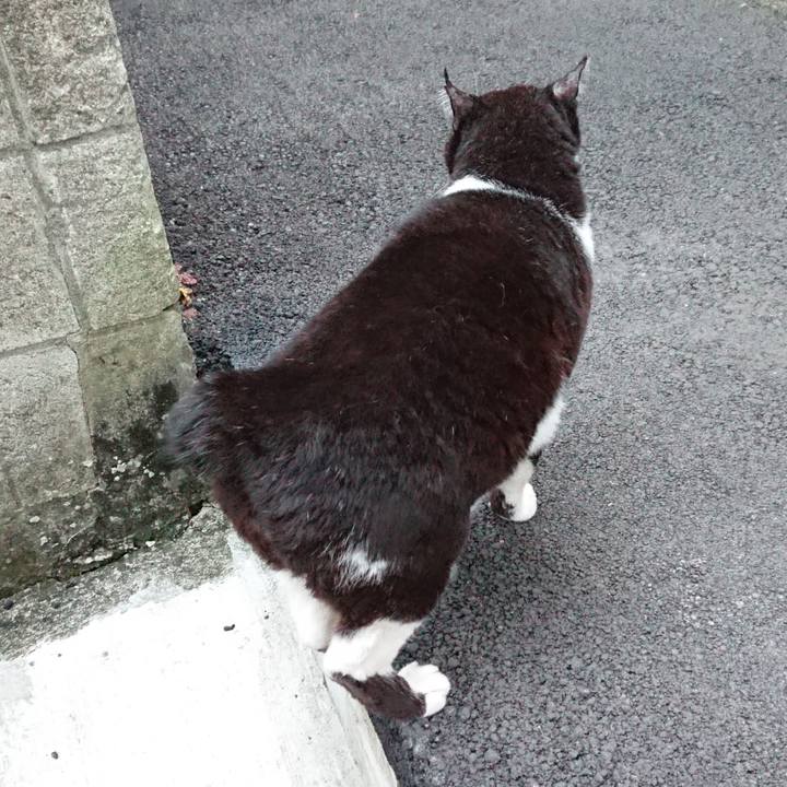 1cb3f659 fe5c 44c8 9f95 0a9d3ae4d19f 1635753138049