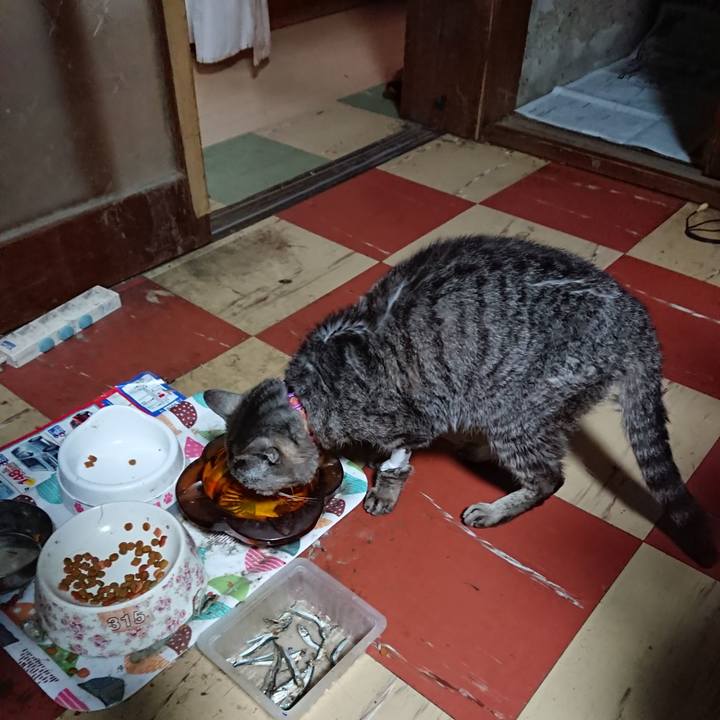 1cb409ce eefa 4b89 9683 661c6c702a8f 1595534117547