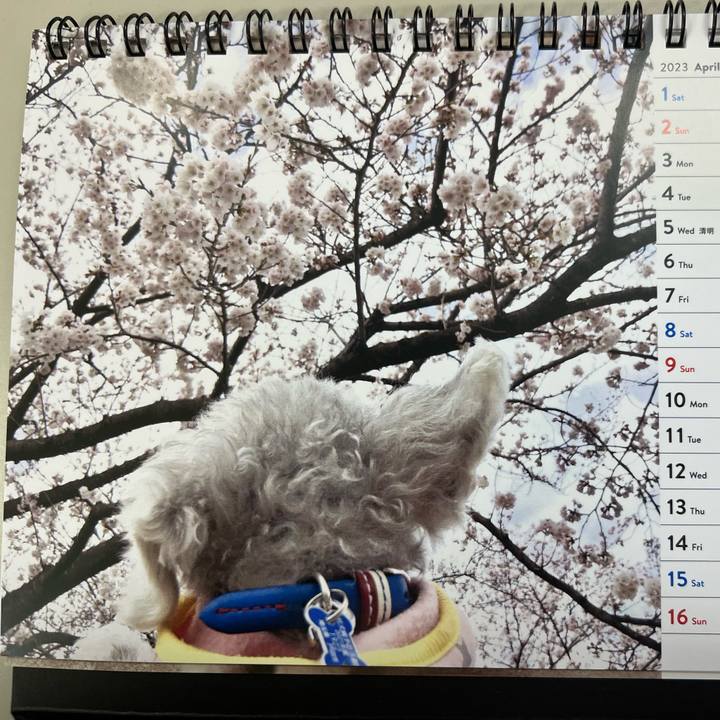 1cb40fd6 302c 4ed2 a705 6e486edac676 1680514465996