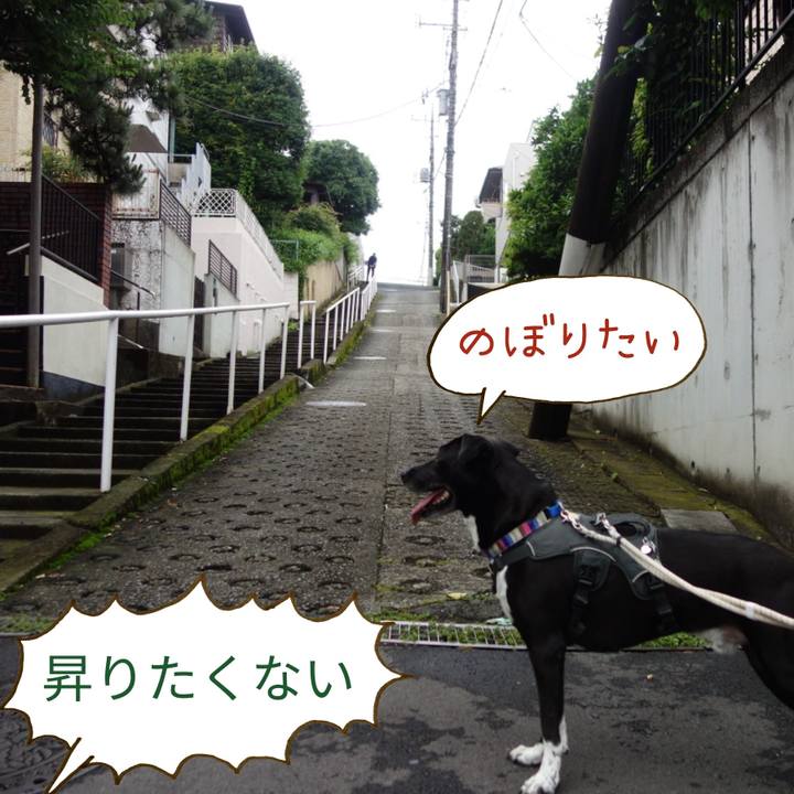 1cb46e13 70be 4bb5 9a3a 6e324c452c5a 1654911185071