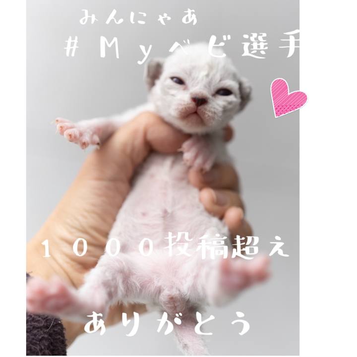 1cb47ab6 936c 4171 9adc 2b61a4bee26a 1619319006160