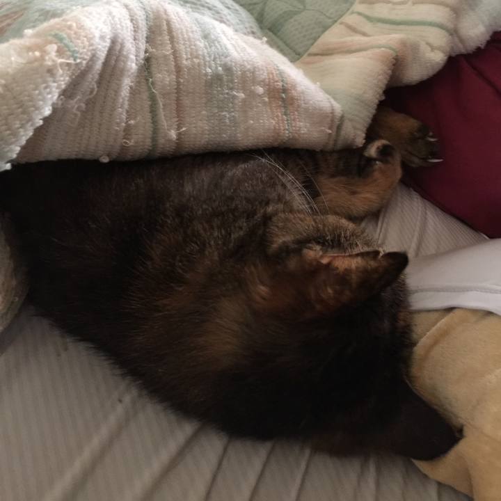 1cb4b13d 4e57 4819 b72e a60691c12b40 1631488305078