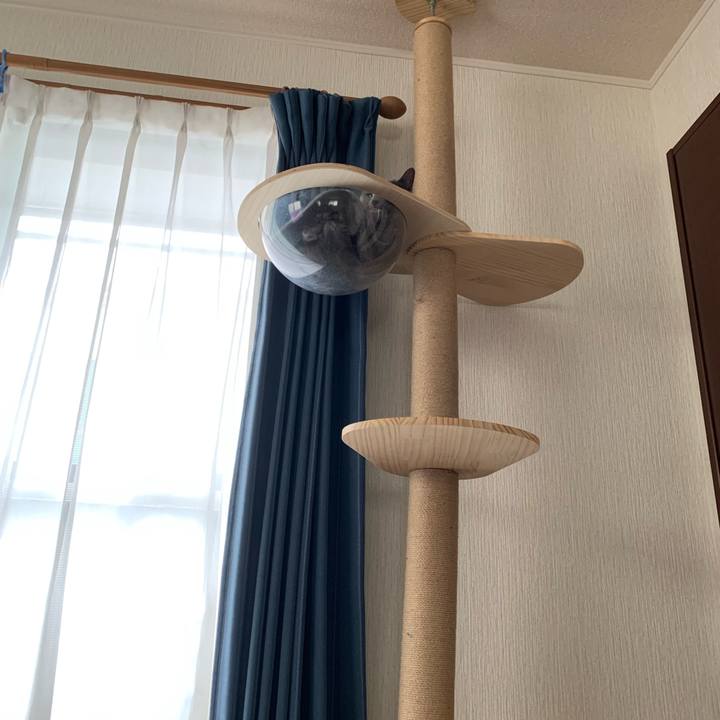 1cb4c0a3 c9a3 4112 ab30 7ad4f055f0da 1655771168531