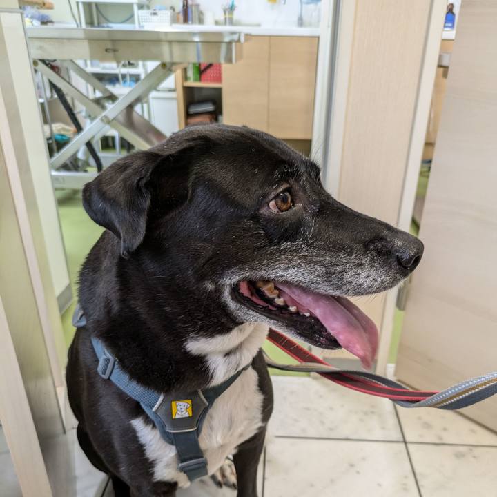 1cb4ca8b 4e4d 4857 a842 be7d0c7009a9 1724844701449