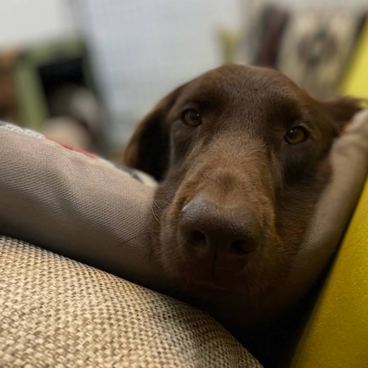 1cb4db8b 649b 4bff 8e9f d28df969f445 1610803685201