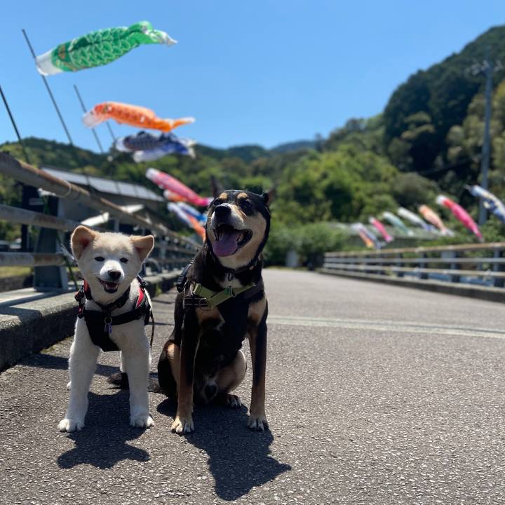 1cb4dc40 0eae 4e50 a218 c51ad0f3ab36 1714812680107