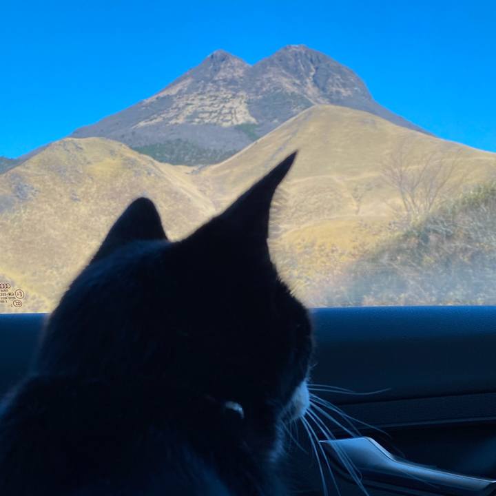 1cb4dd91 6755 4f29 814d 4cb89f58e92a 1638528956969