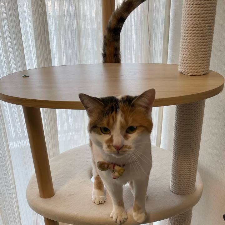 1cb4e0af 6f20 42c9 8470 e0ff81b54158 1640043185337