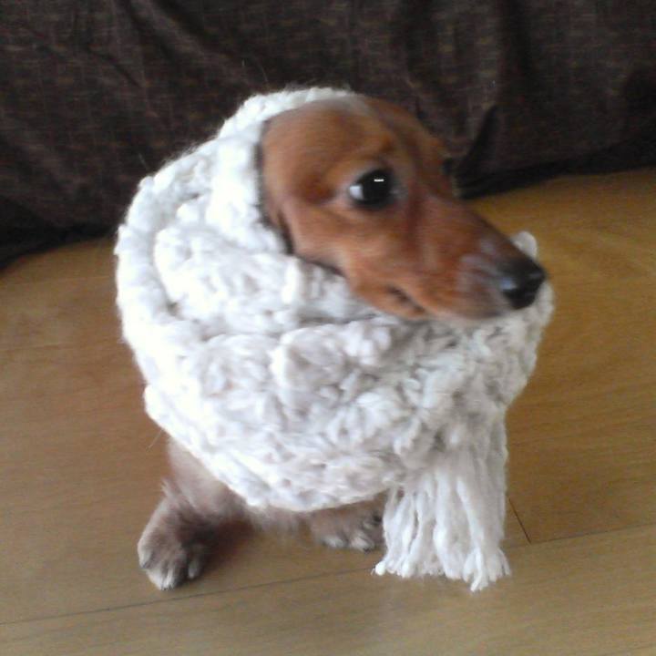 1cb52561 d3d0 48b1 a77b 13e40a561de3 1544375750538