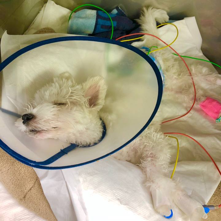 1cb54c9c 8eeb 4982 af64 d4592871ff5c 1540853018830