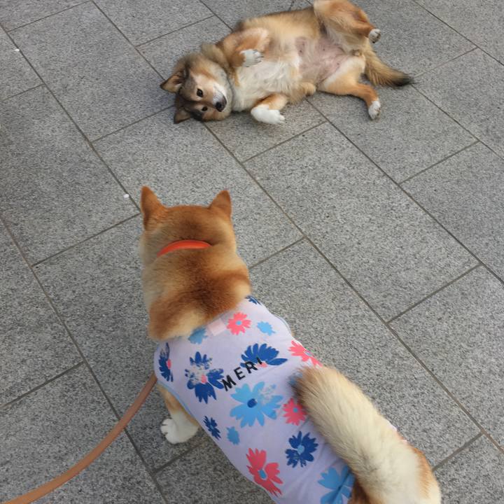 1cb56222 1034 42ed 881e 96fc4e0a468e 1554458744465