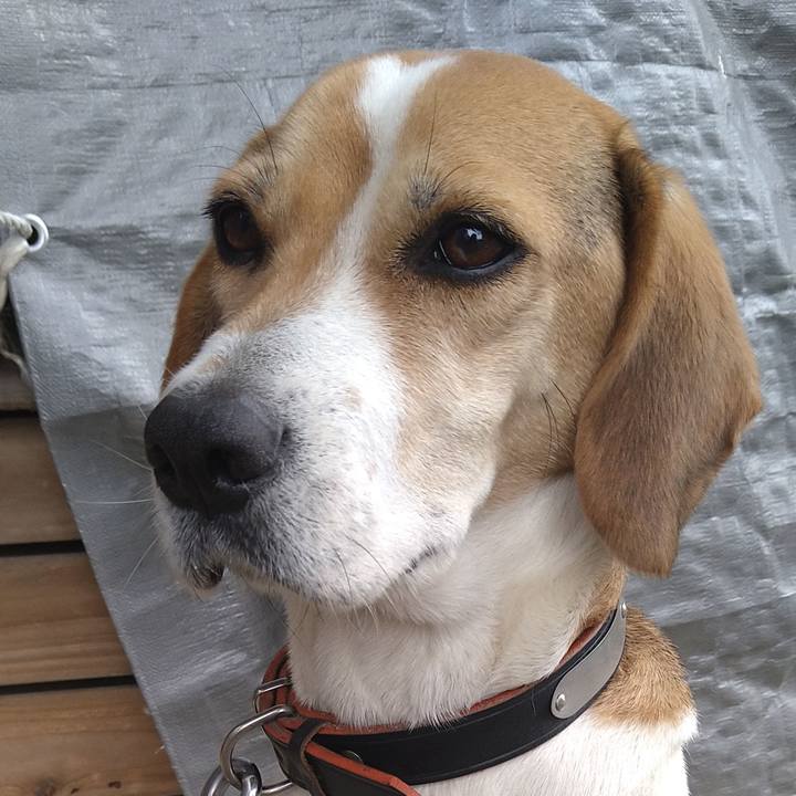 1cb57856 f6b2 4184 b4ae cf2e2b428fd1 1640150396306