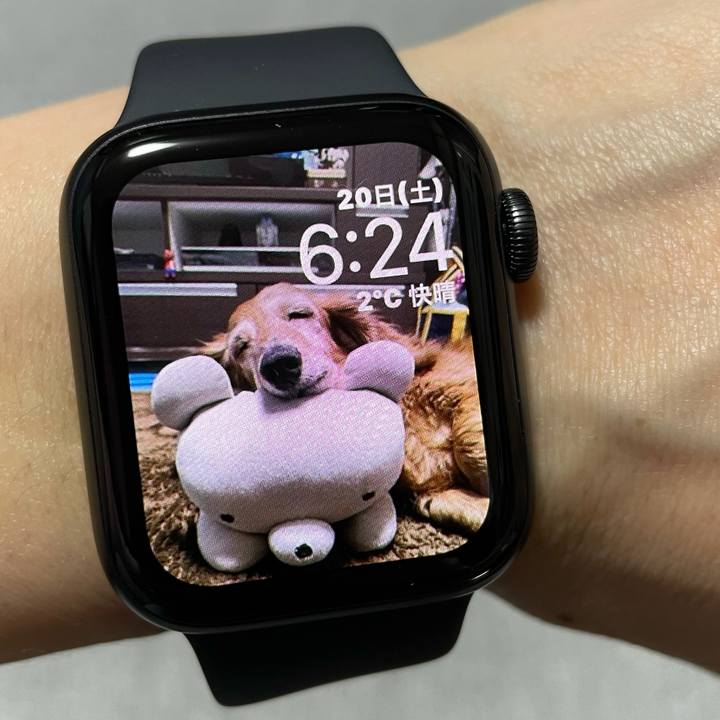 1cb595d8 bd56 441e b4e4 0ea4566d4c73 1613769953059