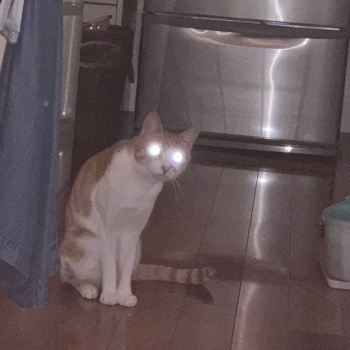 1cb5a613 b847 49c0 b95a 515256f8efe2 1571653068845