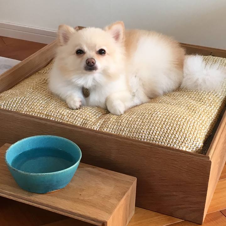 1cb5e1d9 11d4 434c a952 d48974fddf50 1572910717175