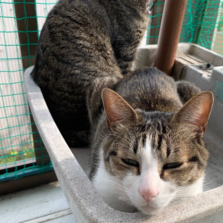 1cb5f5bb 5d9c 4f3c 8215 5ceaea743799 1553215961964