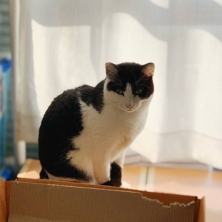 1cb6045b b92e 4c9d 8370 cb4a2ec96235 1584583558259