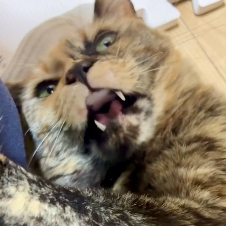 1cb63a31 89de 4b53 a261 a8199b2e2bad 1774527148600