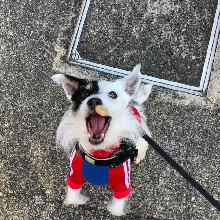 1cb65ef2 1356 4205 89d1 1e88436f378a 1709514586364