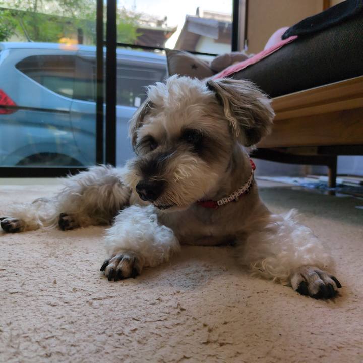 1cb65f2f 16f4 48b6 aa3a df2206f6c460 1756078778404