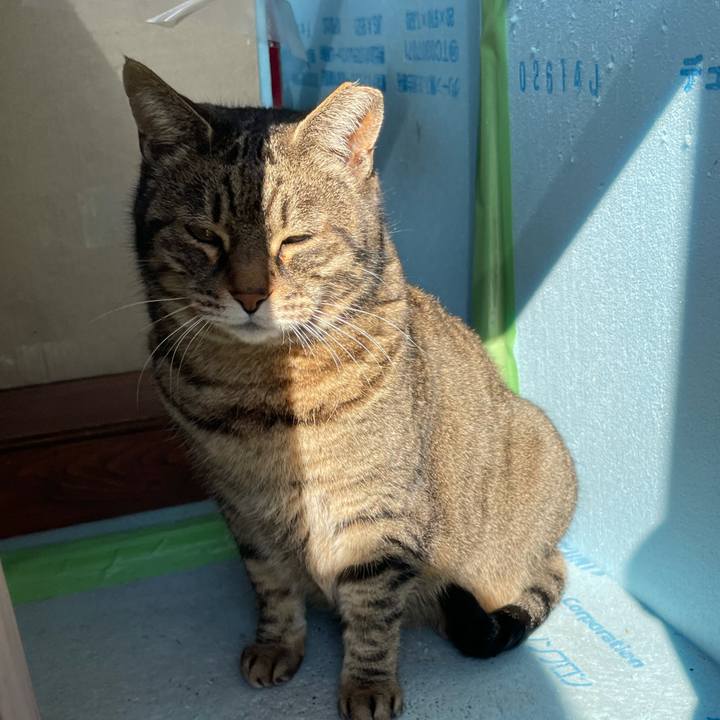 1cb6663b 775f 47fa 997a 5ca20b1f28b8 1612336109302