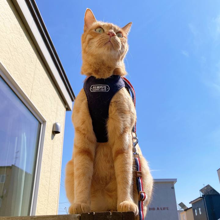 1cb67f46 ea72 41d0 b4ce a4c335601e14 1623759227812