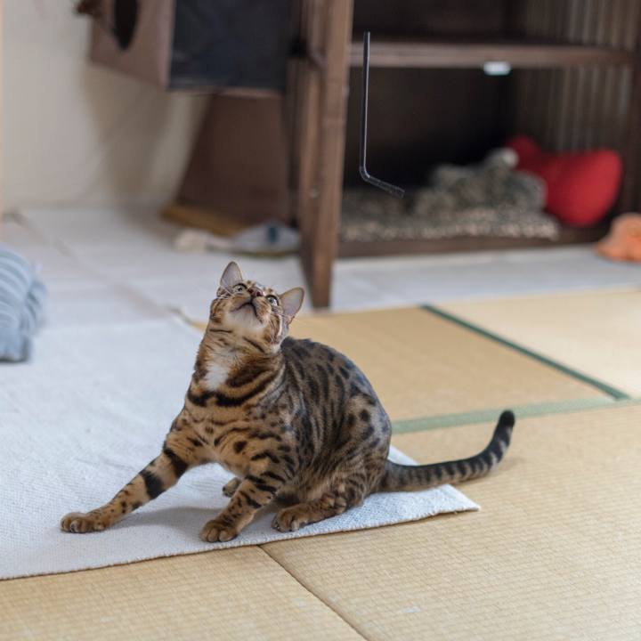 1cb67f78 cd0a 429d 89c6 d090f9a4fe70 1521386932666