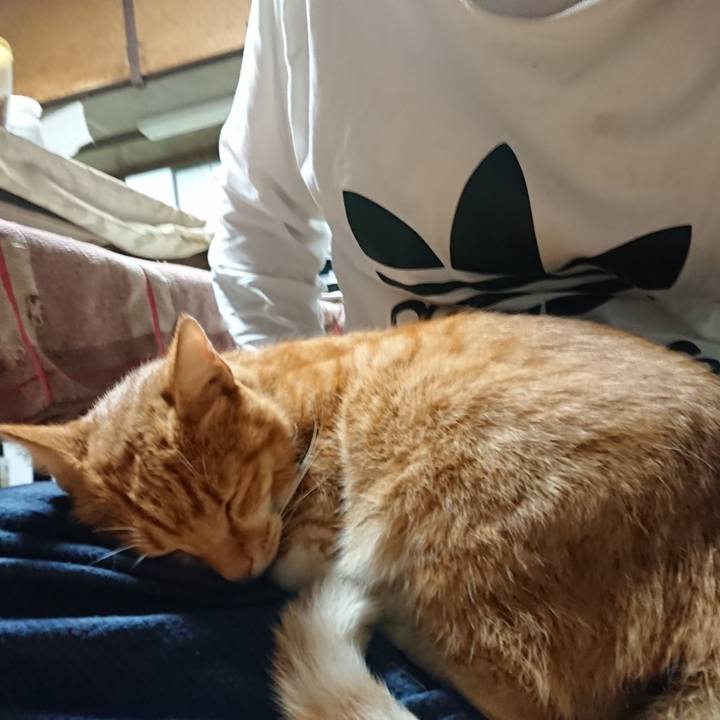 1cb68c5a 3397 48eb 8c27 9941a4acc876 1600721711671