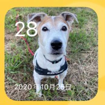 1cb692f0 9649 4498 9276 8bb4860f366c 1666904572762