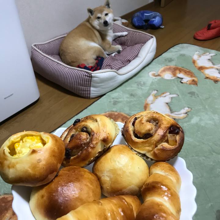 1cb6aded 3b6c 4aa9 b1f7 b66272ad16d3 1544076182927