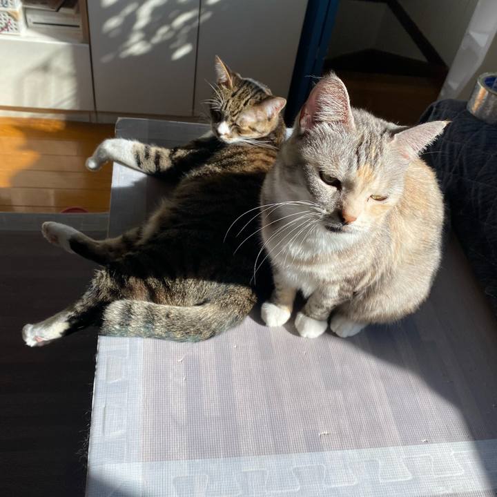 1cb6af5f 2e6c 4ad4 9137 64397dfd09e0 1636517187870