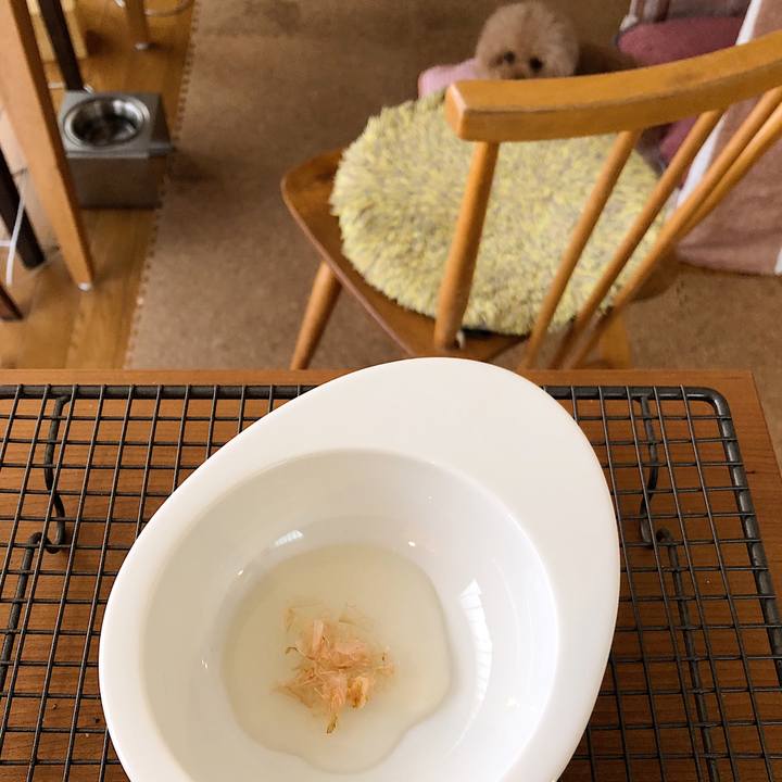 1cb6ef0a 5b34 4a79 bad1 b33e11238395 1528170115241