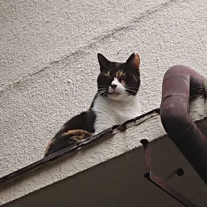 1cb7008a 1b8f 413f bf8f 63eecd53b922 1696900309165