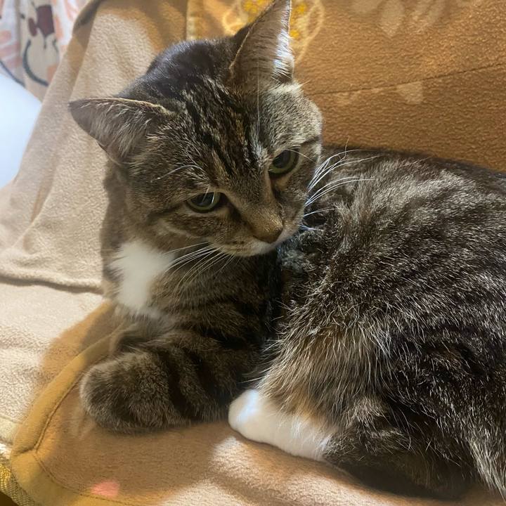 1cb70555 febe 4e1a a4d8 98cfb5542200 1742311081970