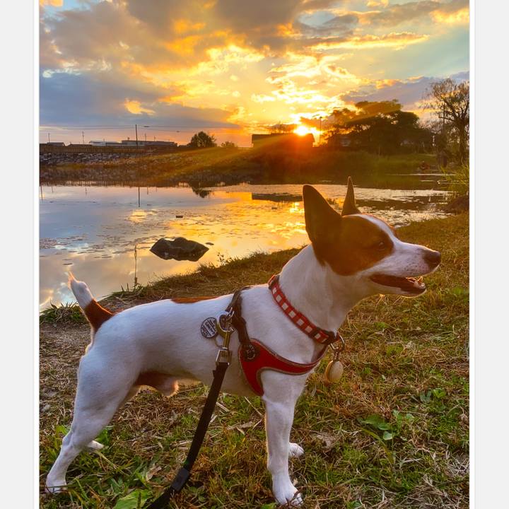 1cb718c4 9b49 4373 a444 1e7472724a99 1541236164808