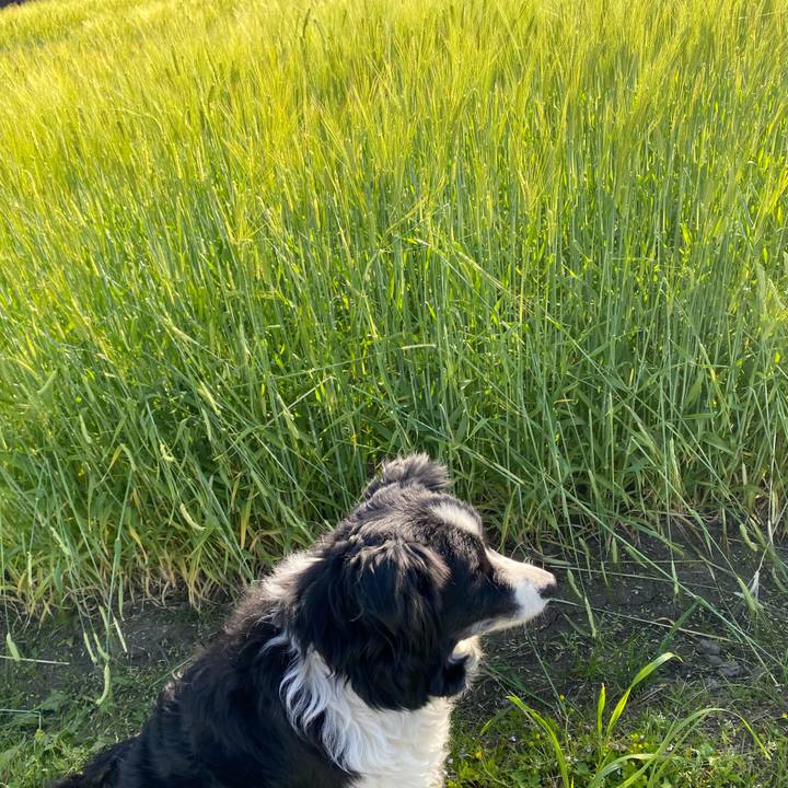 1cb7414f 5f1e 4217 bfaa 4cb71e95824b 1618011169814