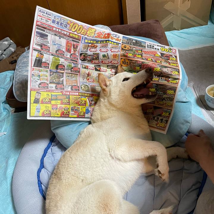 1cb7ccaf 946a 48f8 aa90 83ceca9755df 1654878227229