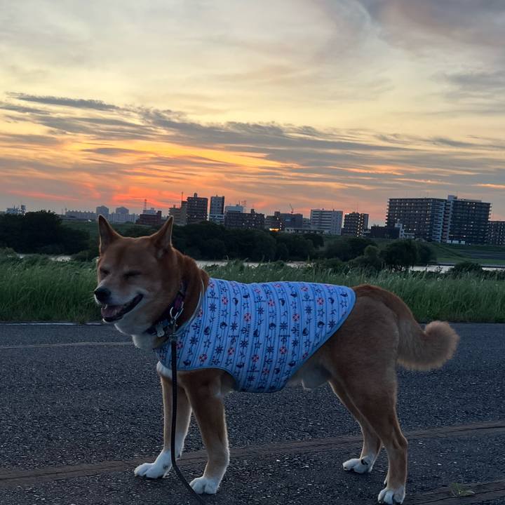 1cb7fb37 6dec 48e0 996f 184680d62b66 1750504581394