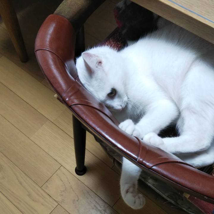 1cb82c36 b7b5 41a3 bc49 715b73b9dadc 1625030164628