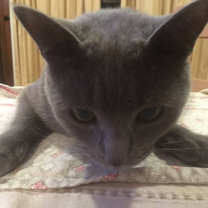 1cb82ff1 1cd2 4901 a509 6c0cd420ce4d 1633568210965