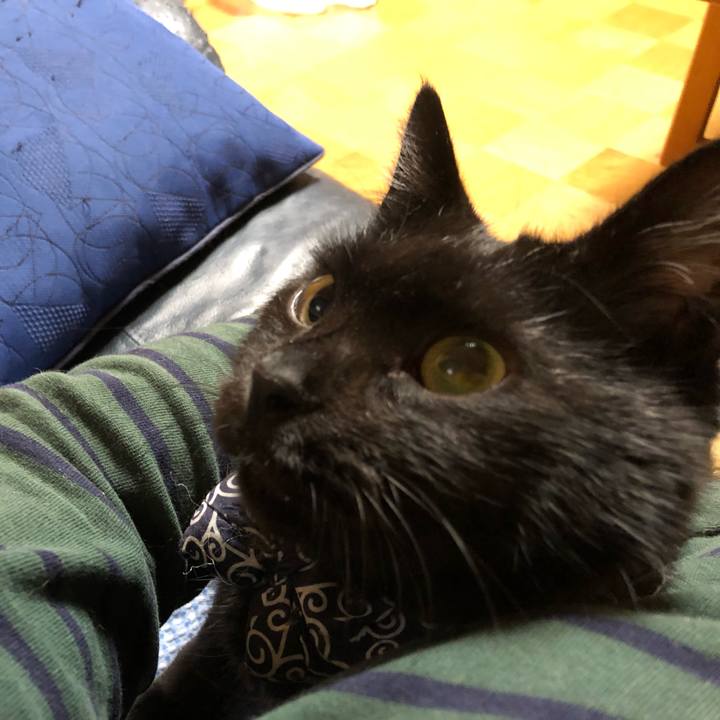 1cb880c2 7c06 4f45 b9d5 d2068ccbcfef 1560674863318